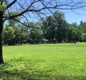 Soccer Field image 4