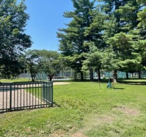 Soccer Field image 2