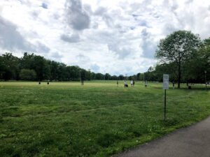 Soccer Field image 1