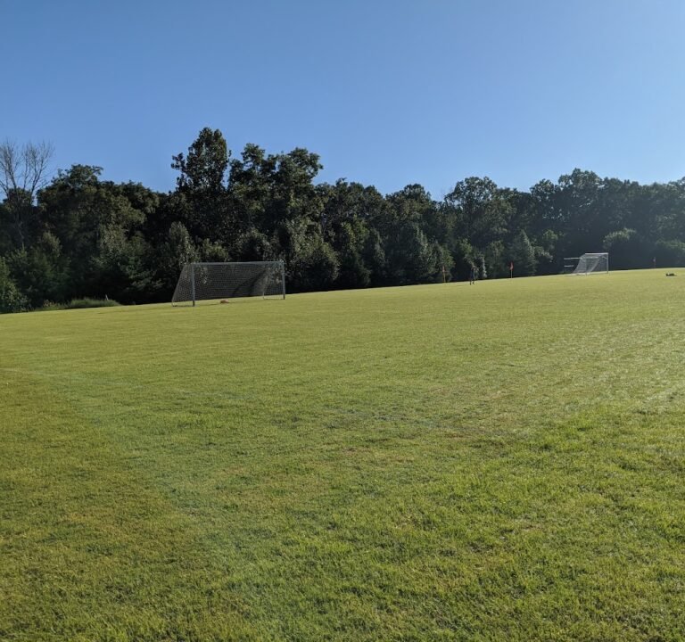 Soccer Field image 2