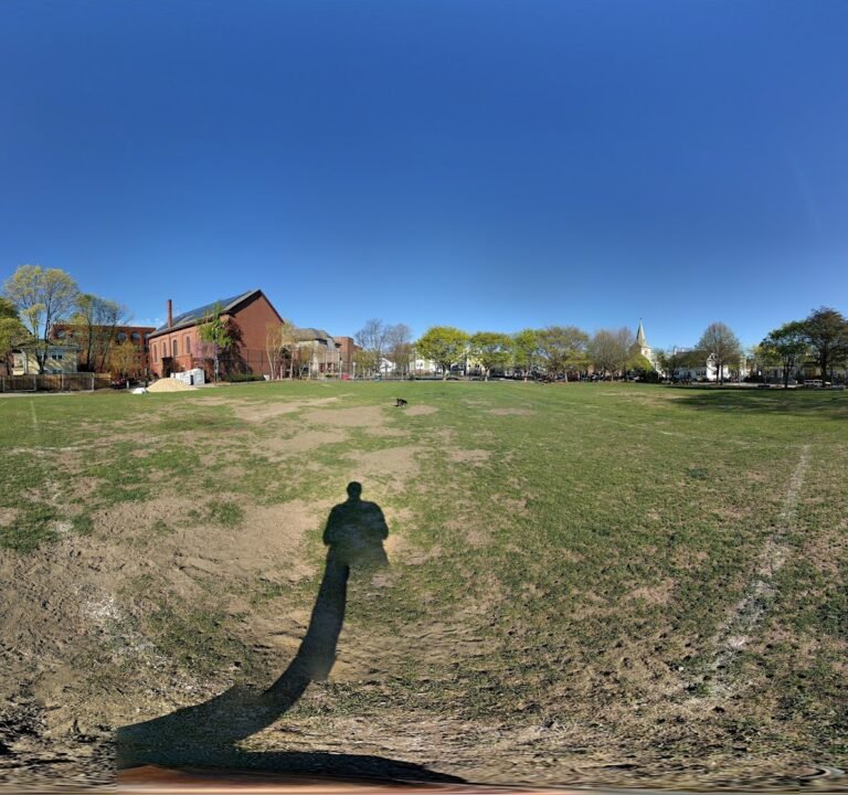 Soccer Field image 3