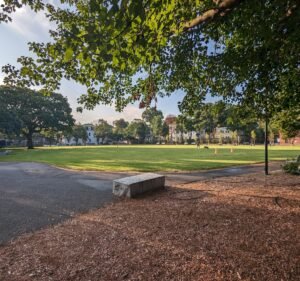 Soccer Field image 2