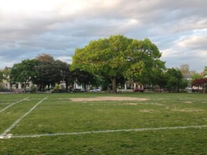Soccer Field image 1
