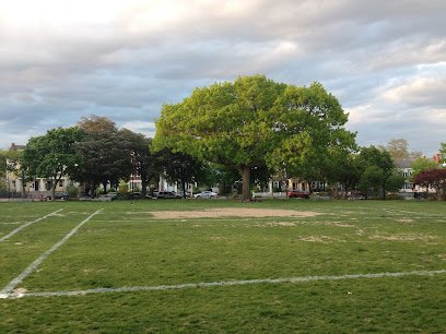 Soccer Field image 1