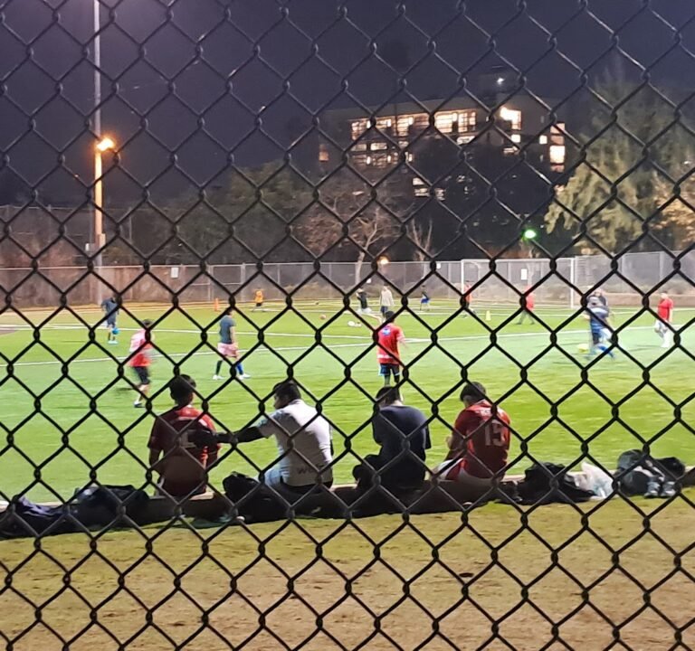 Soccer Field image 3