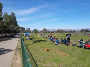 Soccer Field image 1