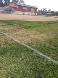 Soccer Field image 1