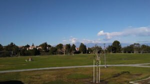 Soccer Field image 1