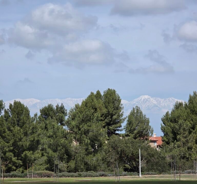 Soccer Field image 3