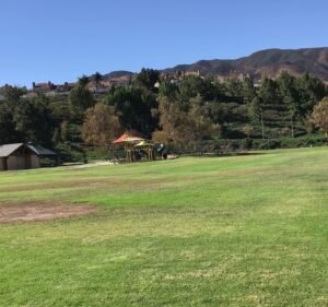 Soccer Field image 4