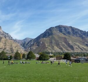 Soccer Field image 3