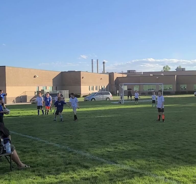 Soccer Field image 4