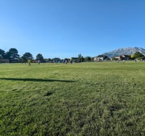 Soccer Field image 2
