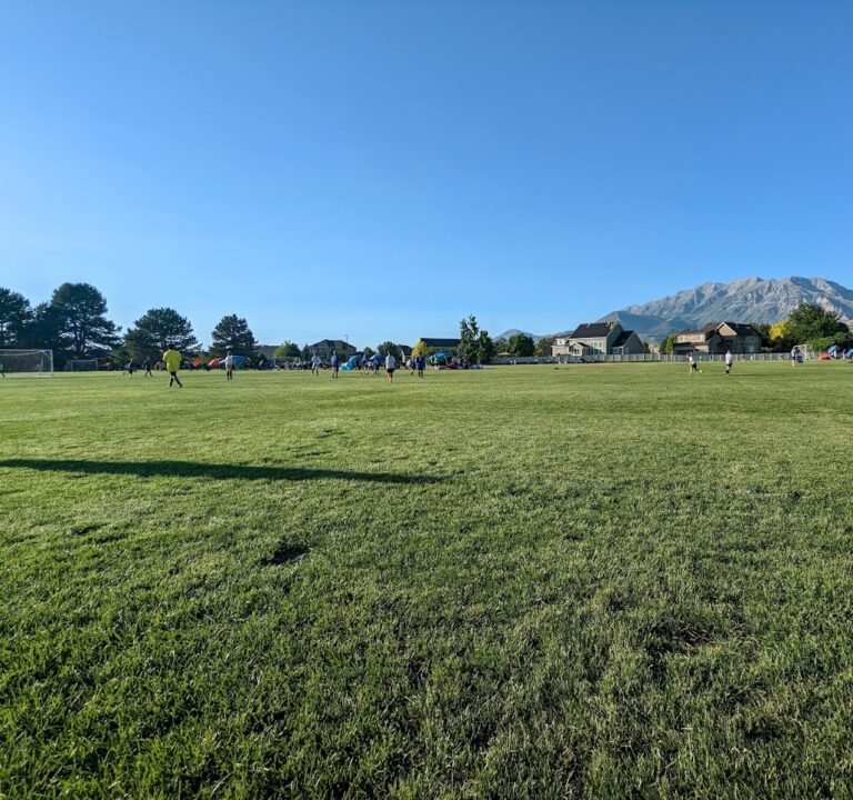Soccer Field image 2