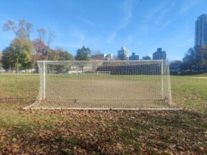 Soccer Field image 1