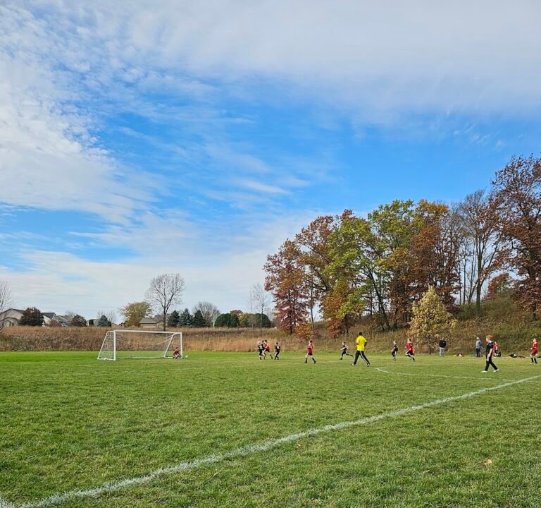 Soccer Field image 2