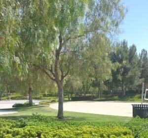 Soccer Field image 4