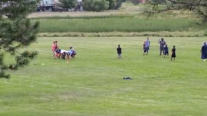 Soccer Field image 1