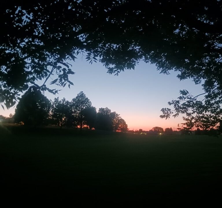 Soccer Field image 2