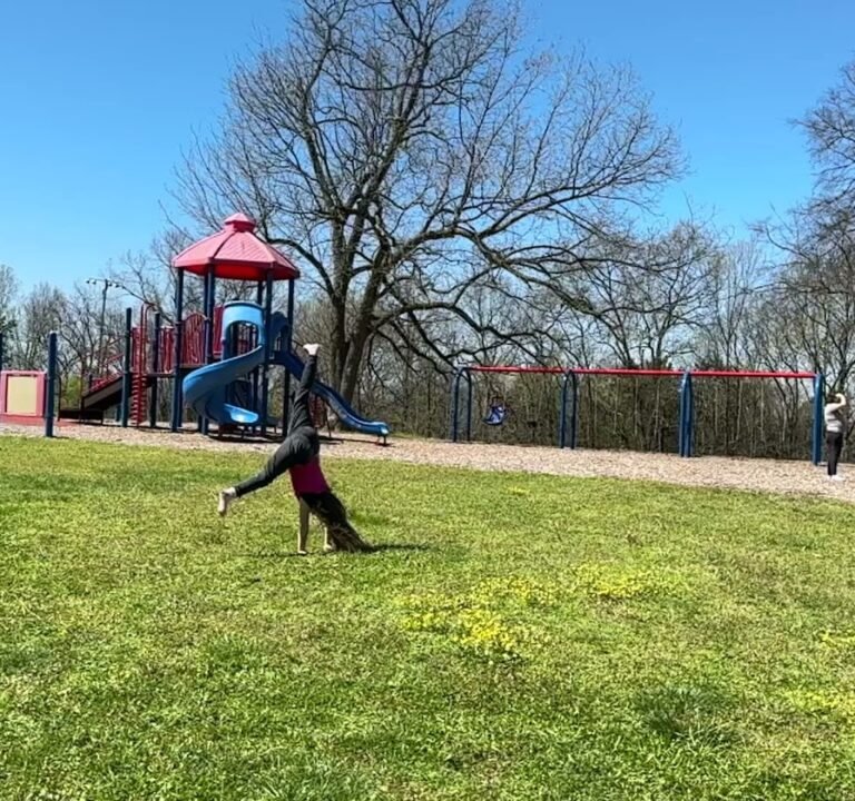 Soccer Field image 2