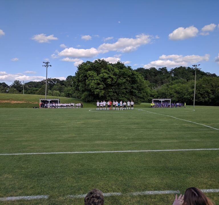 Soccer Field image 2