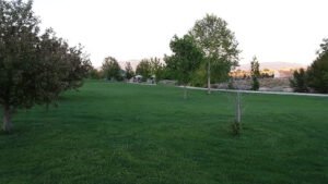 Soccer Field image 1