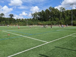 Soccer Field image 1