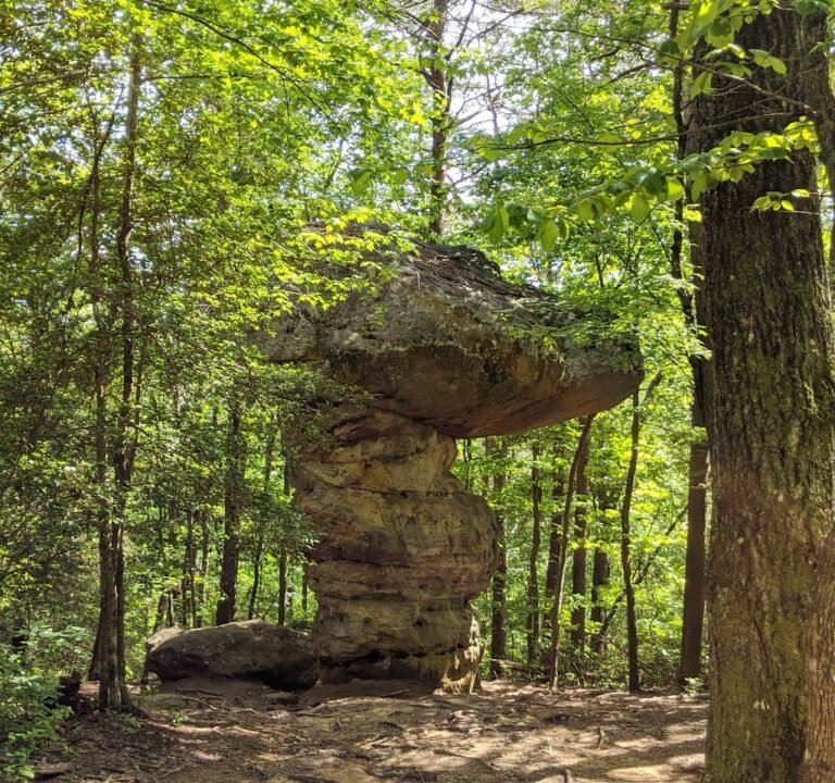 Soccer Field image 2