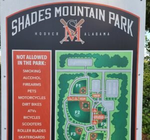 Soccer Field image 3