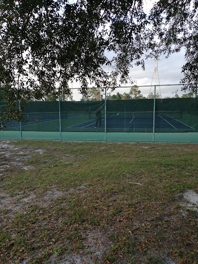 Soccer Field image 1
