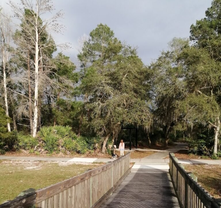 Soccer Field image 2