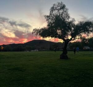 Soccer Field image 3