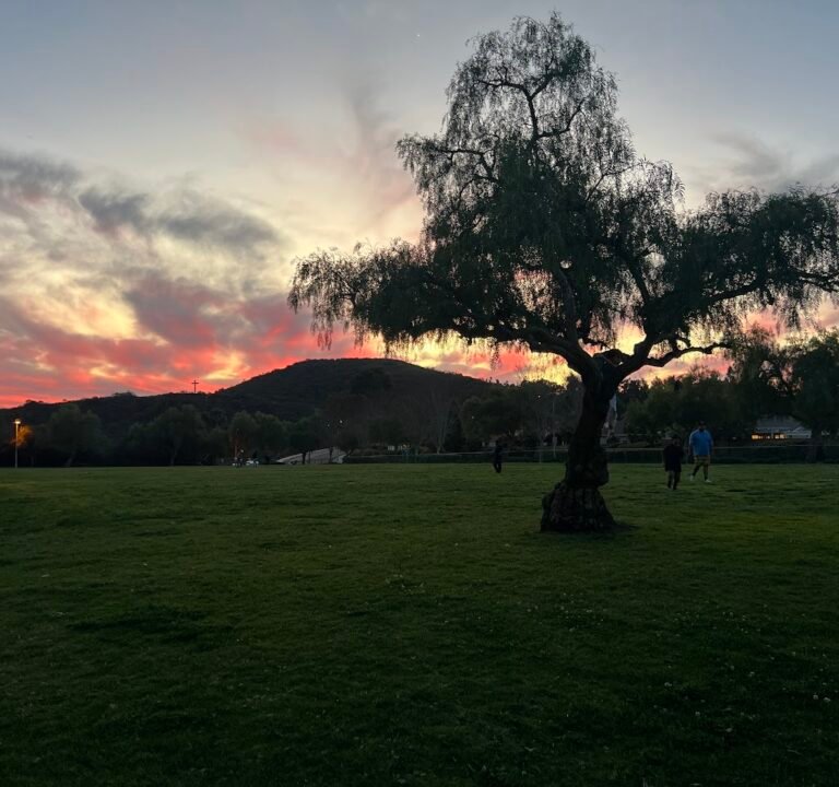 Soccer Field image 3