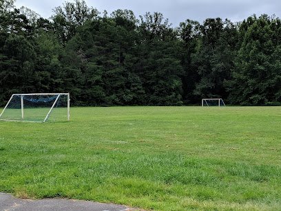 Soccer Field image 1
