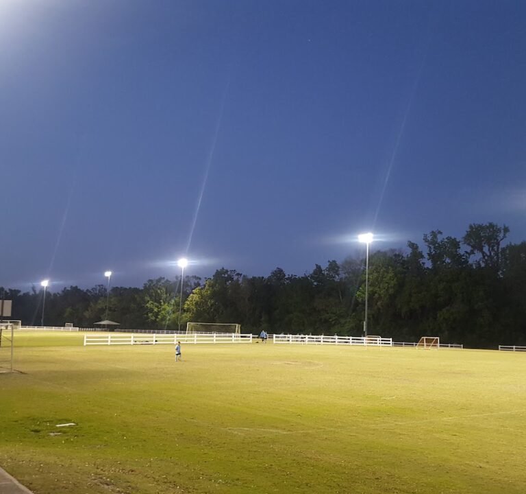 Soccer Field image 2