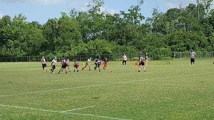 Soccer Field image 1