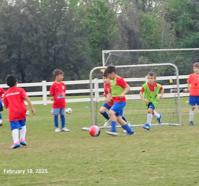 Soccer Field image 3