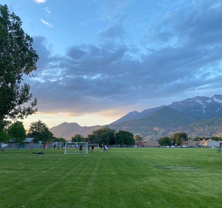 Soccer Field image 3