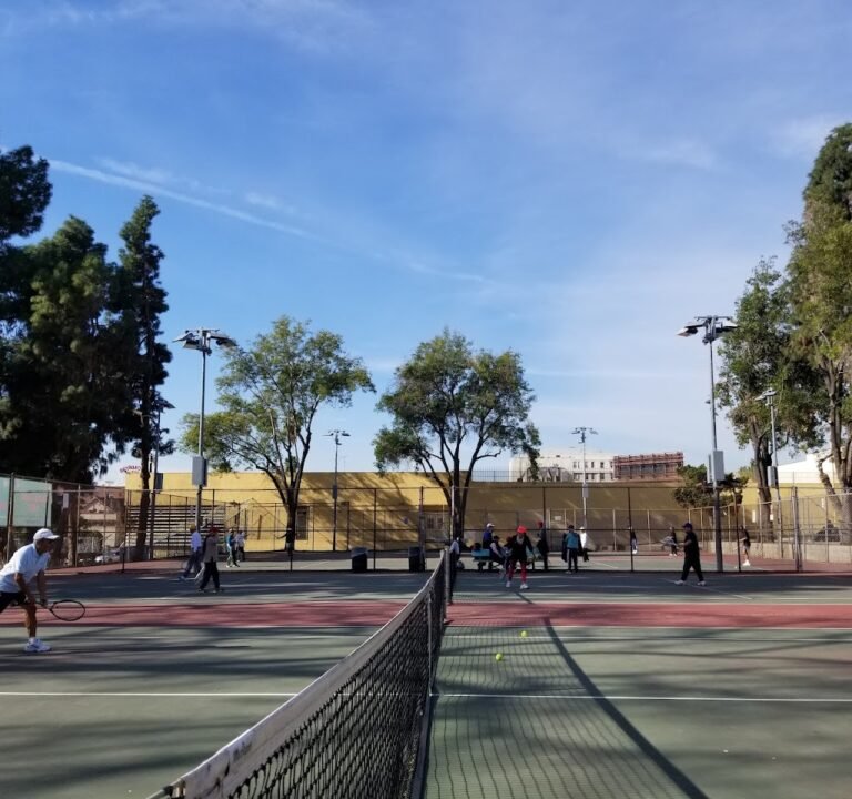 Soccer Field image 2