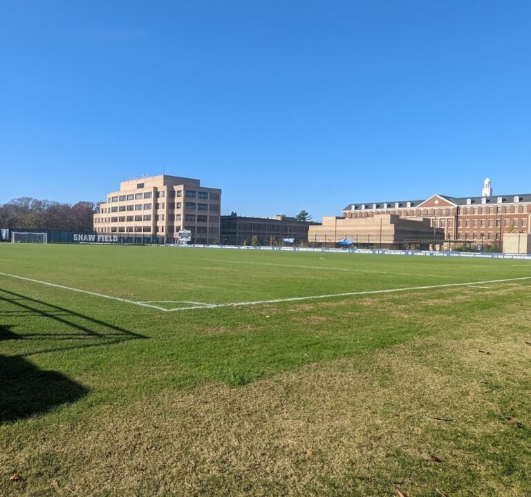 Soccer Field image 2