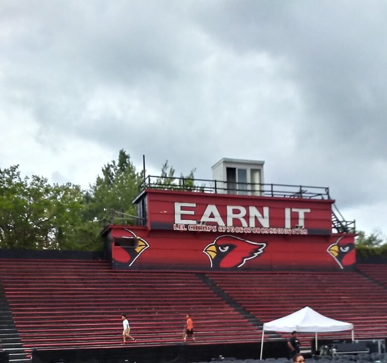 Soccer Field image 3