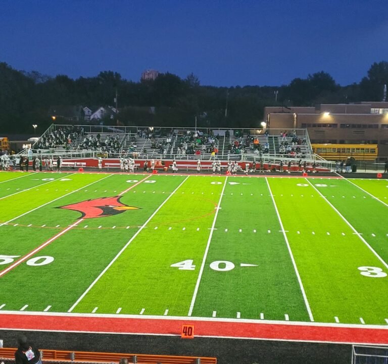Soccer Field image 2
