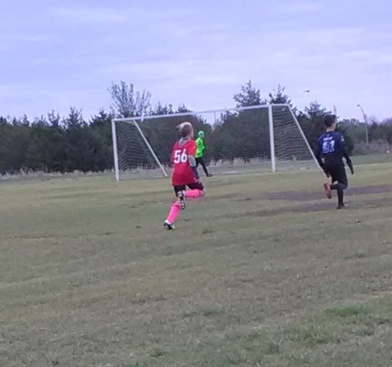 Soccer Field image 3