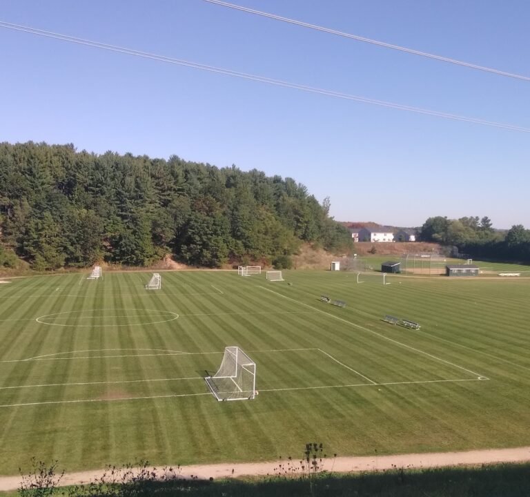 Soccer Field image 3