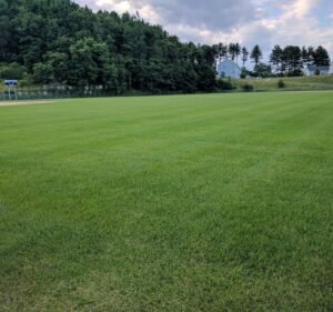 Soccer Field image 2