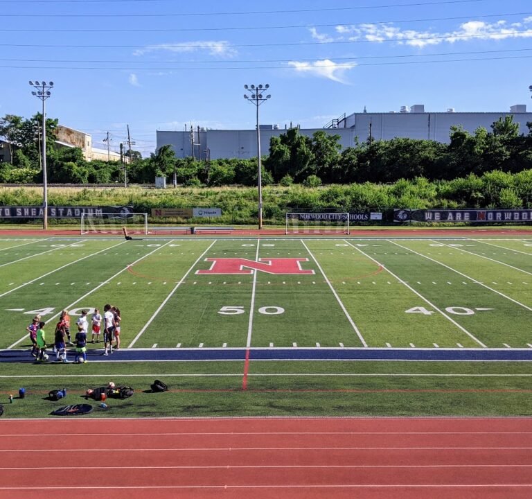 Soccer Field image 2