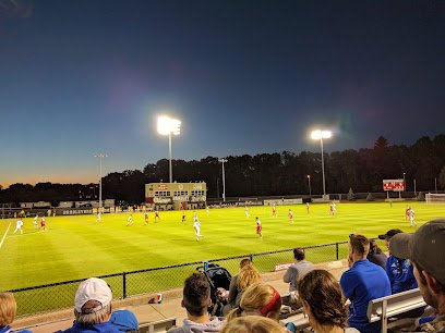 Soccer Field image 1