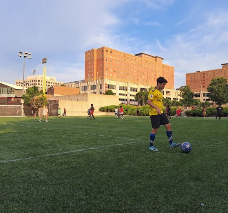 Soccer Field image 2