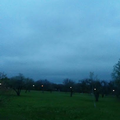 Soccer Field image 1