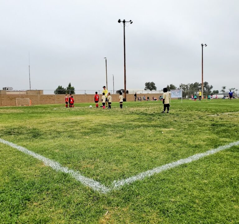 Soccer Field image 3